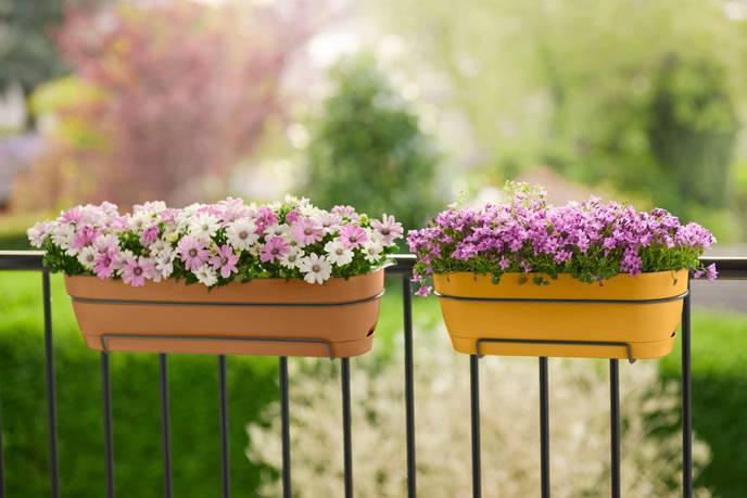 vibia campana balkonbak allin1 50cm terra